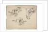 Sheep Heads, second or third quarter 1800s by Wouter Verschuur