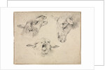 Sheep Heads, second or third quarter 1800s by Wouter Verschuur
