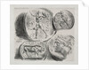 Sheet with Four Antique Medals, 1825 by Eugène Delacroix; Bertauts