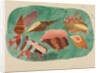 Shells in Seaweed by Mary Altha Nims