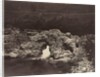 Shepherd's Bridge near Forest Lodge, 1871 by James Valentine