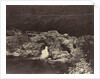 Shepherd's Bridge near Forest Lodge, 1871 by James Valentine