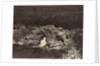 Shepherd's Bridge near Forest Lodge, 1871 by James Valentine