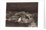 Shepherd's Bridge near Forest Lodge, 1871 by James Valentine