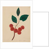 Siberian Apple by Mary Altha Nims