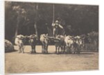 Six Oxen Team with their Driver, c. 1853 by Olympe Aguado