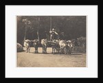 Six Oxen Team with their Driver, c. 1853 by Olympe Aguado