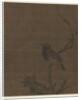 Sleeping Bird on a Prunus Branch, 1400s by Bian Wenjin
