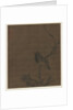 Sleeping Bird on a Prunus Branch, 1400s by Bian Wenjin