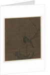 Sleeping Bird on a Prunus Branch, 1400s by Bian Wenjin