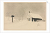 Snow Storm in Vermont by Mary Altha Nims
