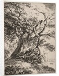 Specimens of Polyautography: Landscape with an Oak Tree, 1803 by Thomas Hearne