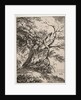 Specimens of Polyautography: Landscape with an Oak Tree, 1803 by Thomas Hearne