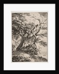Specimens of Polyautography: Landscape with an Oak Tree, 1803 by Thomas Hearne