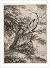 Specimens of Polyautography: Landscape with an Oak Tree, 1803 by Thomas Hearne