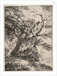 Specimens of Polyautography: Landscape with an Oak Tree, 1803 by Thomas Hearne