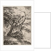 Specimens of Polyautography: Landscape with an Oak Tree, 1803 by Thomas Hearne