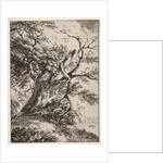 Specimens of Polyautography: Landscape with an Oak Tree, 1803 by Thomas Hearne