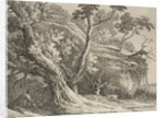 Specimens of Polyautography: Man Seated under an Oak, 1802 by Richard II Cooper