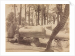 Statue of Ramesses at Saqqara, c. 1870s - 1880s by Antonio Beato