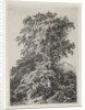 Studies Drawn and Engraved after Nature: The Beach, Fontainbleau…, 1840 by Eugene Bléry