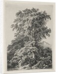 Studies Drawn and Engraved after Nature: The Beach, Fontainbleau…, 1840 by Eugene Bléry