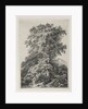 Studies Drawn and Engraved after Nature: The Beach, Fontainbleau…, 1840 by Eugene Bléry