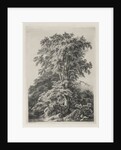 Studies Drawn and Engraved after Nature: The Beach, Fontainbleau…, 1840 by Eugene Bléry