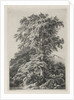 Studies Drawn and Engraved after Nature: The Beach, Fontainbleau…, 1840 by Eugene Bléry