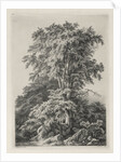 Studies Drawn and Engraved after Nature: The Beach, Fontainbleau…, 1840 by Eugene Bléry