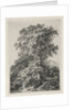 Studies Drawn and Engraved after Nature: The Beach, Fontainbleau…, 1840 by Eugene Bléry