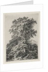 Studies Drawn and Engraved after Nature: The Beach, Fontainbleau…, 1840 by Eugene Bléry