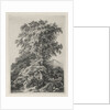 Studies Drawn and Engraved after Nature: The Beach, Fontainbleau…, 1840 by Eugene Bléry