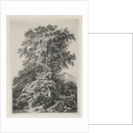 Studies Drawn and Engraved after Nature: The Beach, Fontainbleau…, 1840 by Eugene Bléry