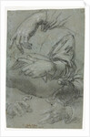 Studies of Hands; Sketch of a Child's Head, c. 1586 by Carletto Caliari