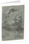 Studies of Hands; Sketch of a Child's Head, c. 1586 by Carletto Caliari