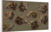 Studies of Ram Heads, 1700s by Unknown