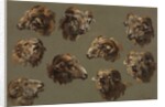 Studies of Ram Heads, 1700s by Unknown