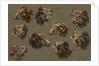 Studies of Ram Heads, 1700s by Unknown