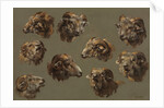 Studies of Ram Heads, 1700s by Unknown