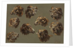 Studies of Ram Heads, 1700s by Unknown
