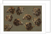 Studies of Ram Heads, 1700s by Unknown