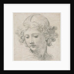 Study for the Head of St. Michael, 1633 by Pietro da Cortona