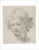 Study for the Head of St. Michael, 1633 by Pietro da Cortona