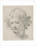 Study for the Head of St. Michael, 1633 by Pietro da Cortona