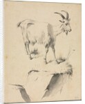 Study of a Goat, 1700s by Jean Jacques de Boissieu