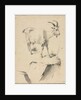 Study of a Goat, 1700s by Jean Jacques de Boissieu