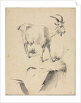 Study of a Goat, 1700s by Jean Jacques de Boissieu