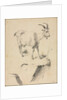 Study of a Goat, 1700s by Jean Jacques de Boissieu