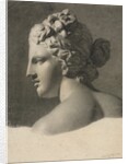 Study of a Plaster Cast, 1806 by Frederic Millet